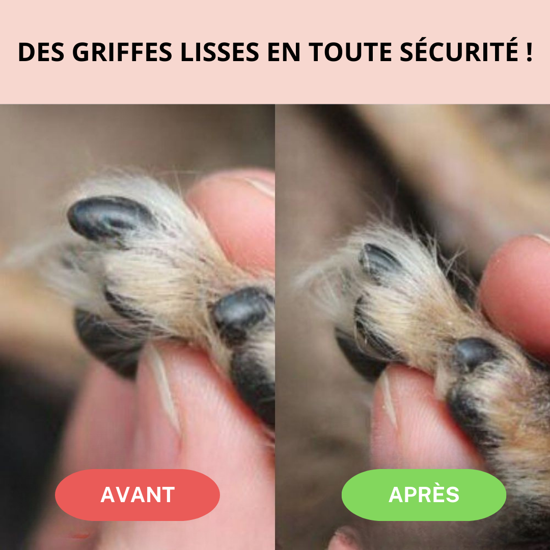 Lime électrique pour griffes - Chien & chat