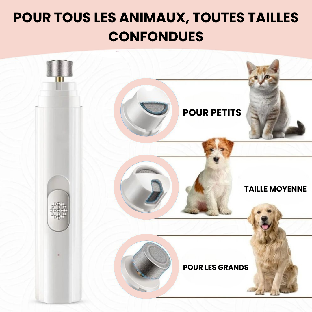 Lime électrique pour griffes - Chien & chat