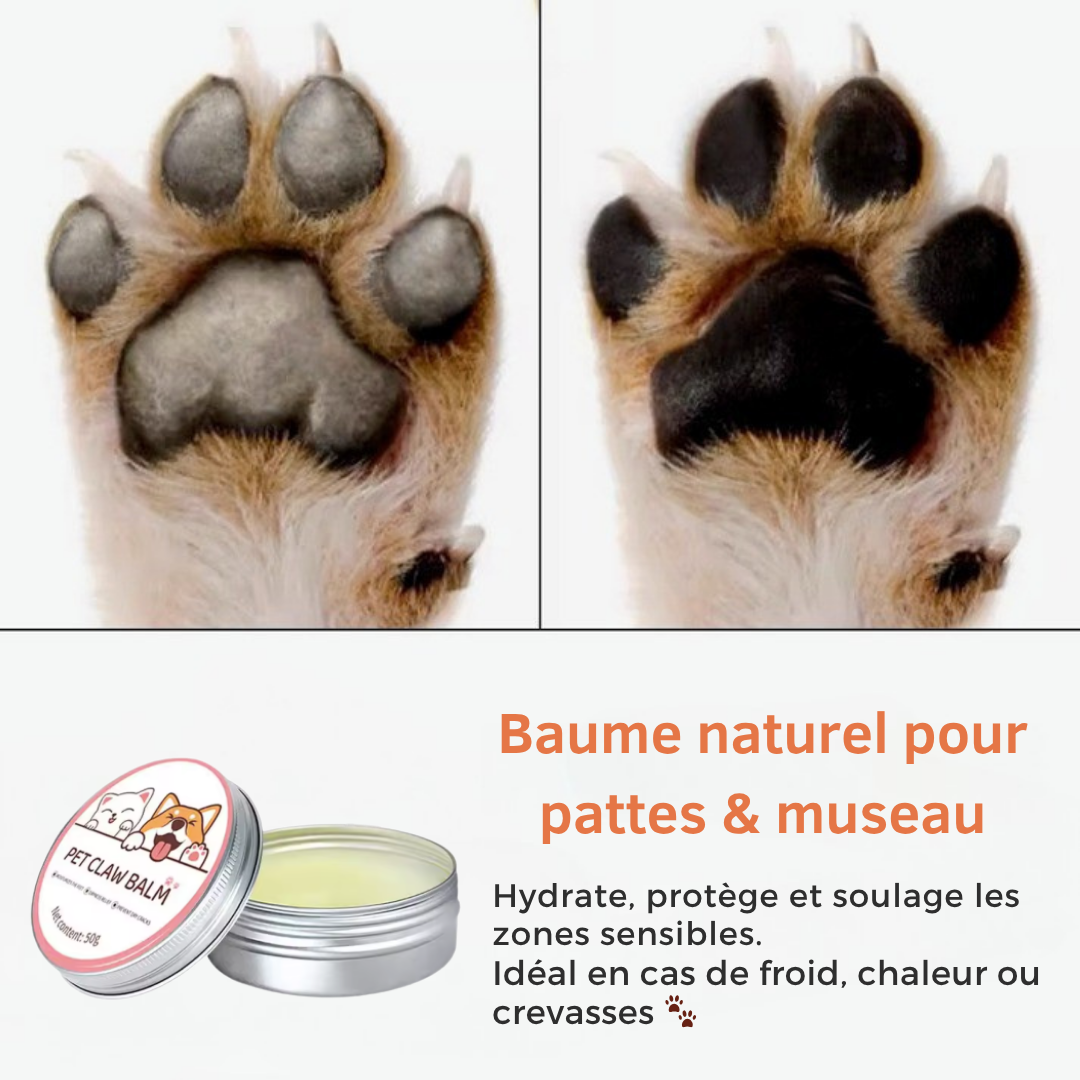 Baume Hydratante Pattes & Museau - Chien & Chat