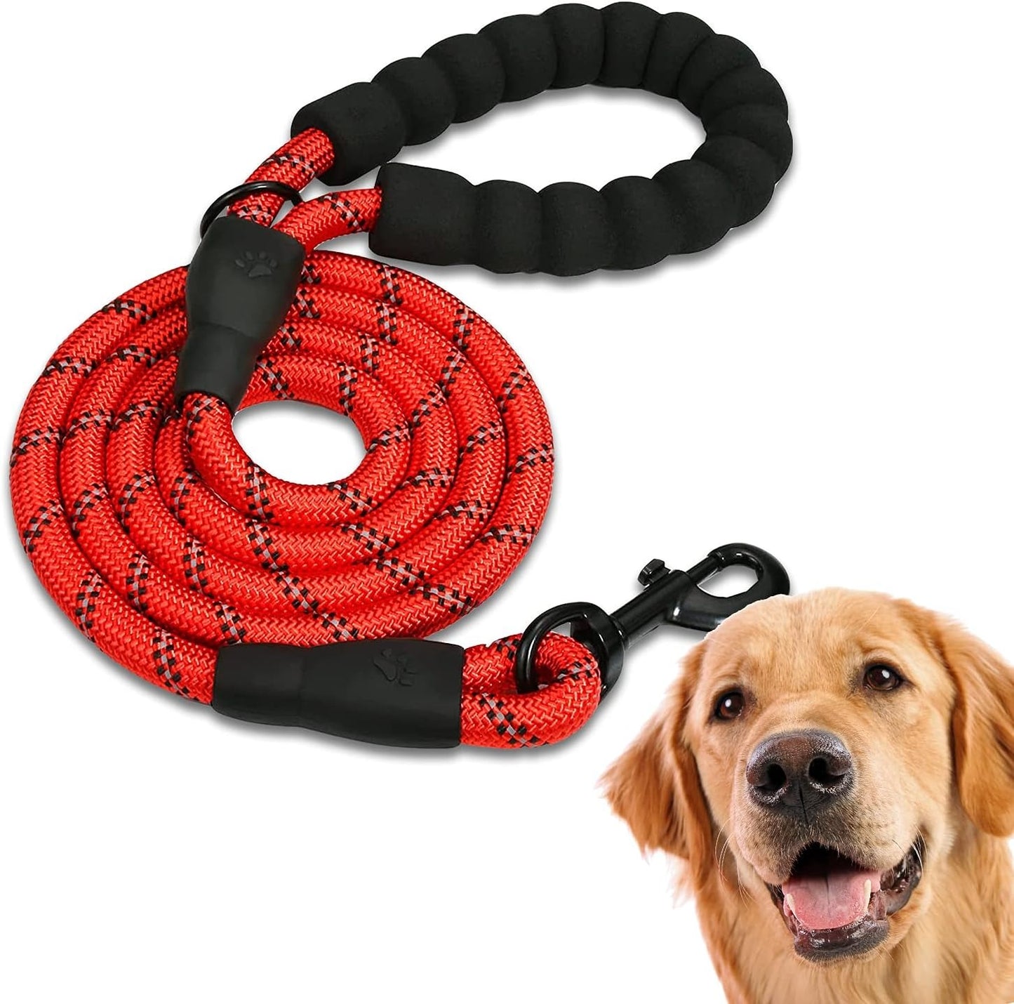 Laisse de promenade pour chien