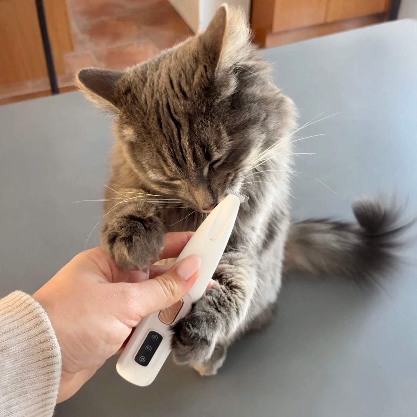 Tondeuse Ultra-Silencieuse – Chien & Chat