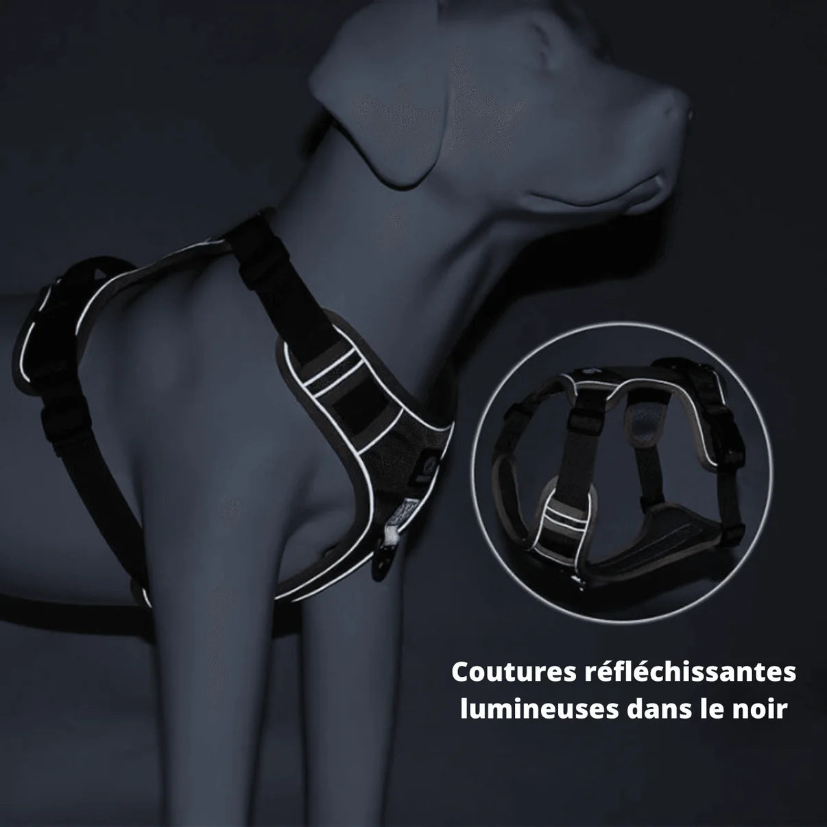 Harnais Anti-Traction Refléchissant