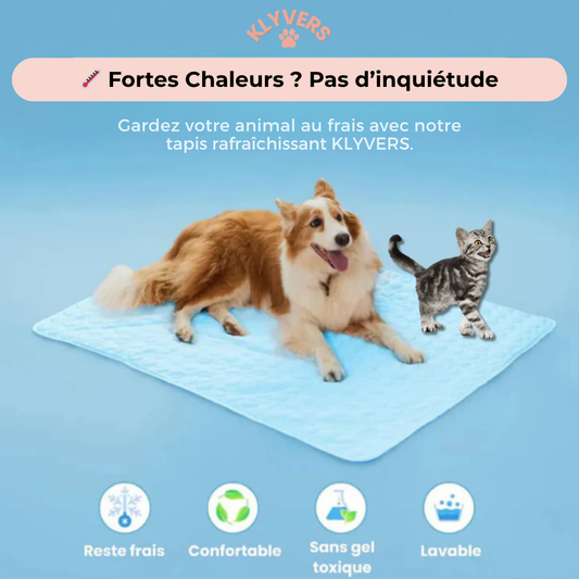 Tapis Rafraichissant - Chien & Chat