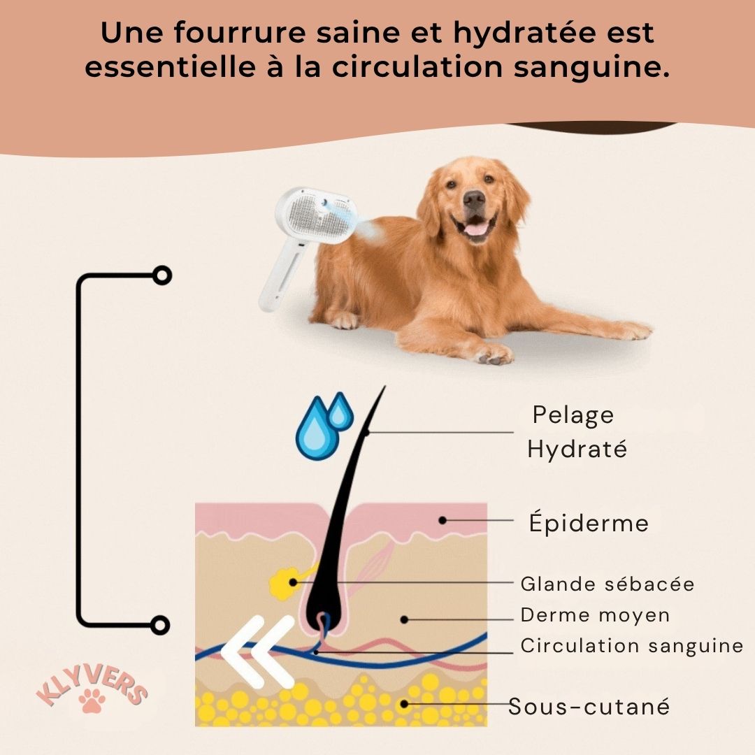 Brosse vapeur Professionnel - Chien & Chat