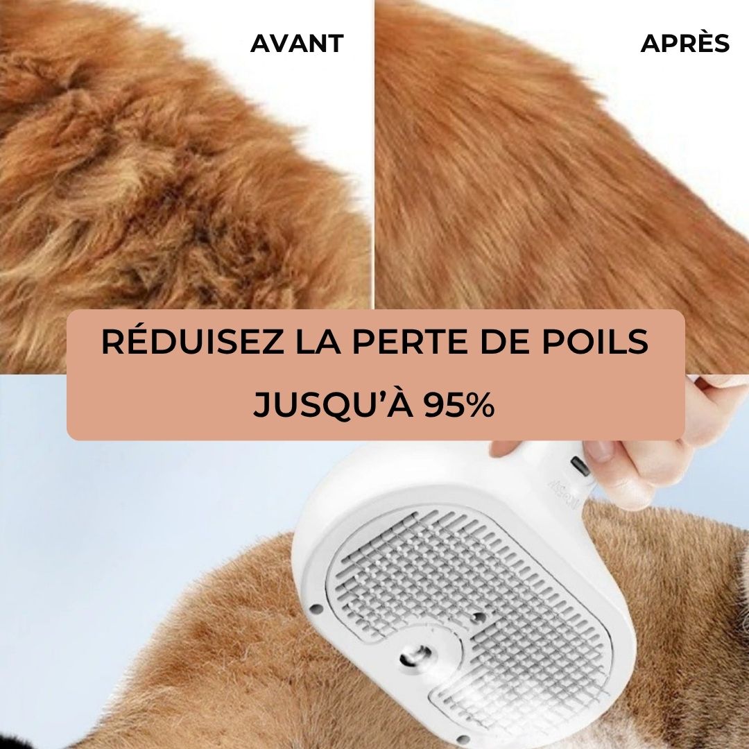 Brosse vapeur Professionnel - Chien & Chat