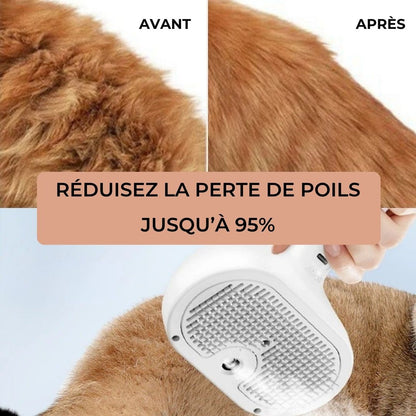 Brosse vapeur Professionnel - Chien & Chat