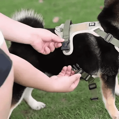 Harnais Anti-Traction Refléchissant