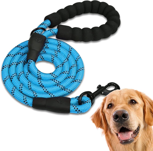 Laisse de promenade pour chien