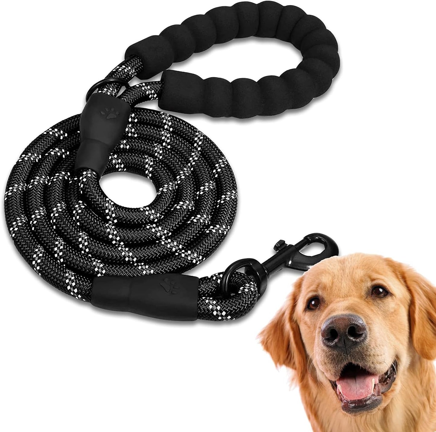 Laisse de promenade pour chien