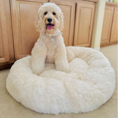 Coussin Anti-Stress pour Chien