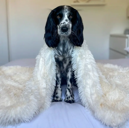 Couverture apaisante pour Chien & Chat