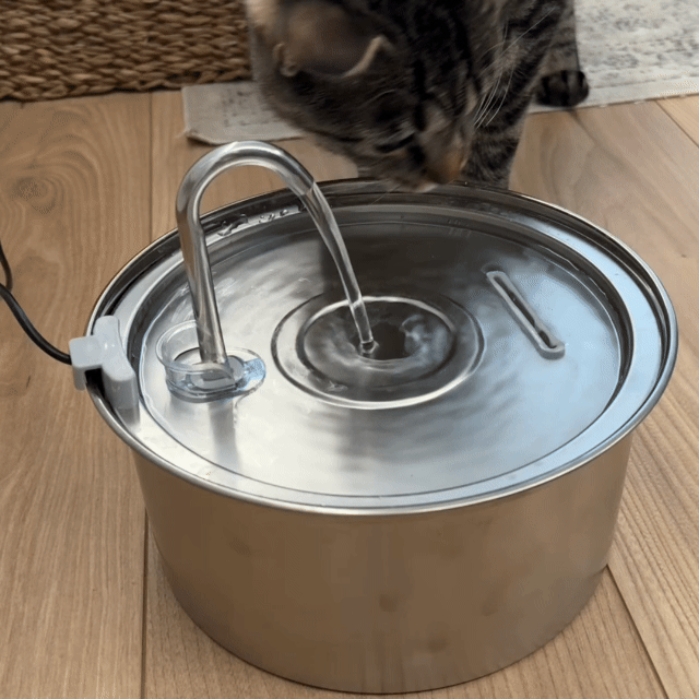 Fontaine à eau Filtrante - Chien & Chat