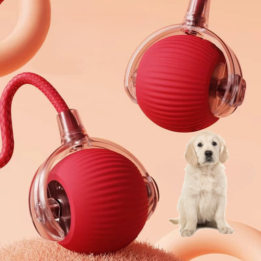 Interactive Anti-Stress Ball - Dog & Cat