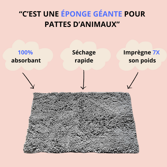 Tapis Ultra-Absorbant