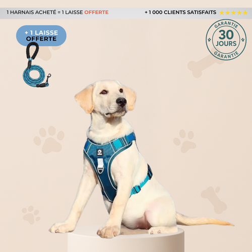 Harnais Anti-Traction Refléchissant