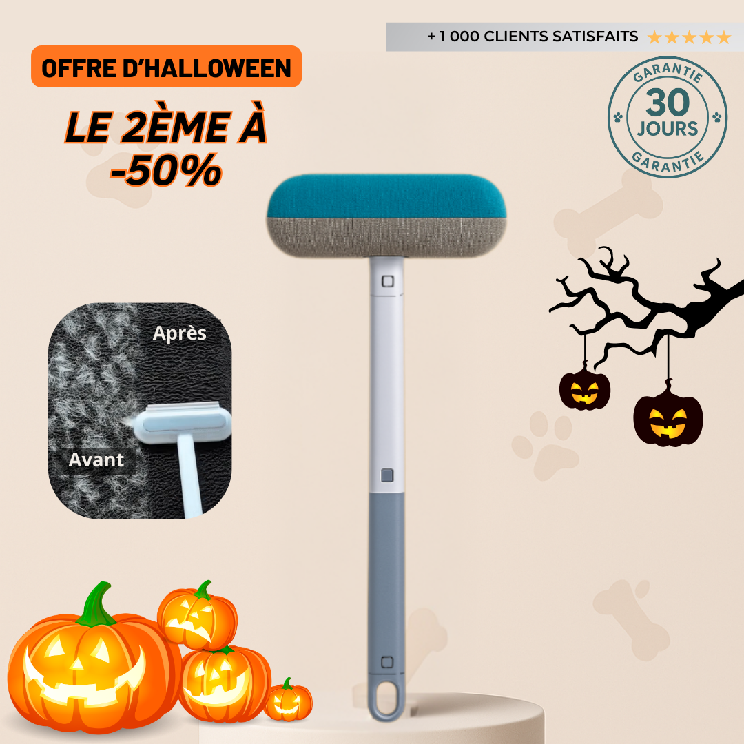 AttraPoils® - L'accessoire Anti-Poils