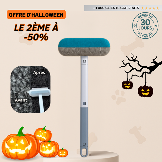 AttraPoils® - L'accessoire Anti-Poils