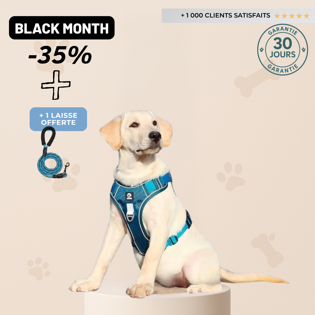 Harnais Anti-Traction Refléchissant