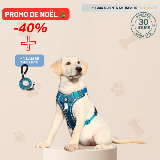 Harnais Anti-Traction Refléchissant