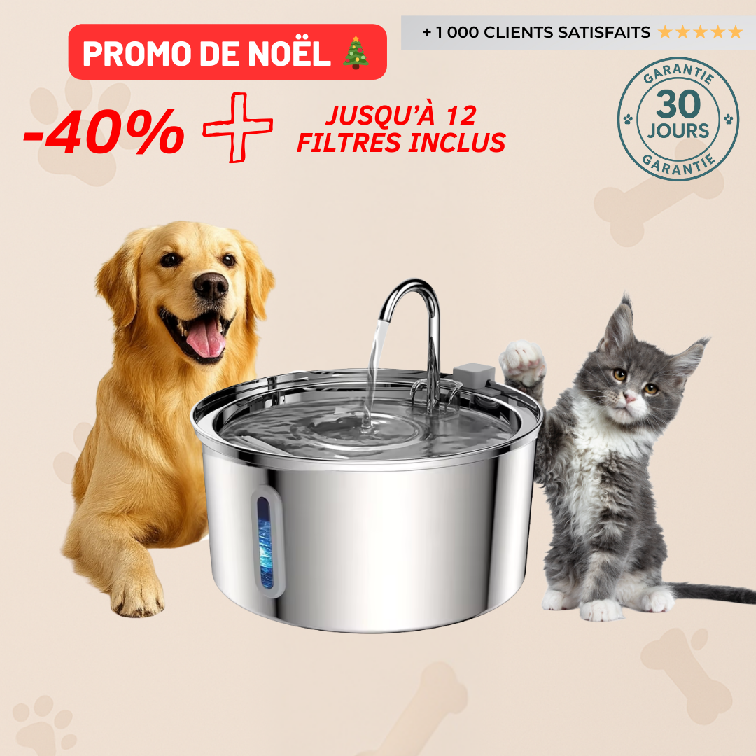 Fontaine à eau Filtrante - Chien & Chat