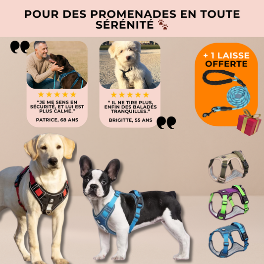 Harnais Anti-Traction Refléchissant