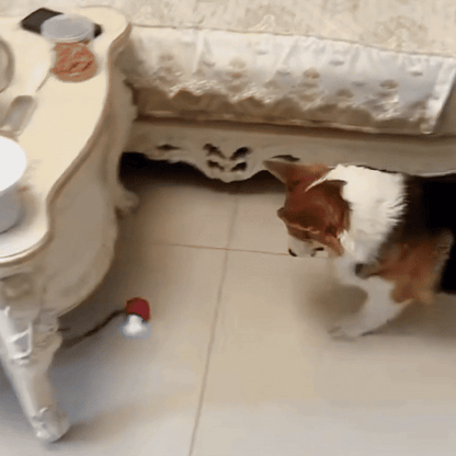 Balle anti-stress - Chien & chat