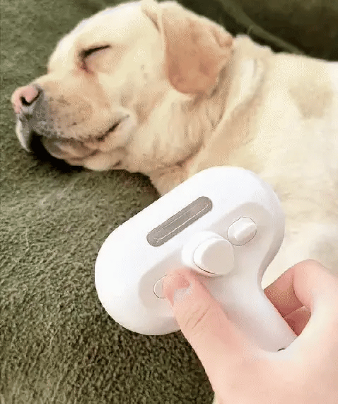 Brosse vapeur Professionnel - Chien & Chat