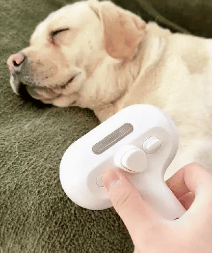 Brosse vapeur Professionnel - Chien & Chat