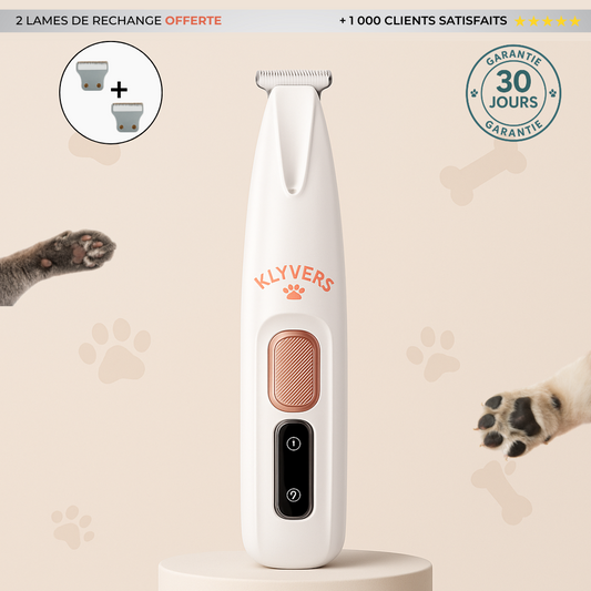 FallBack Text for a file